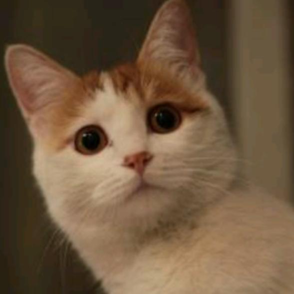 大饱眼福览世界