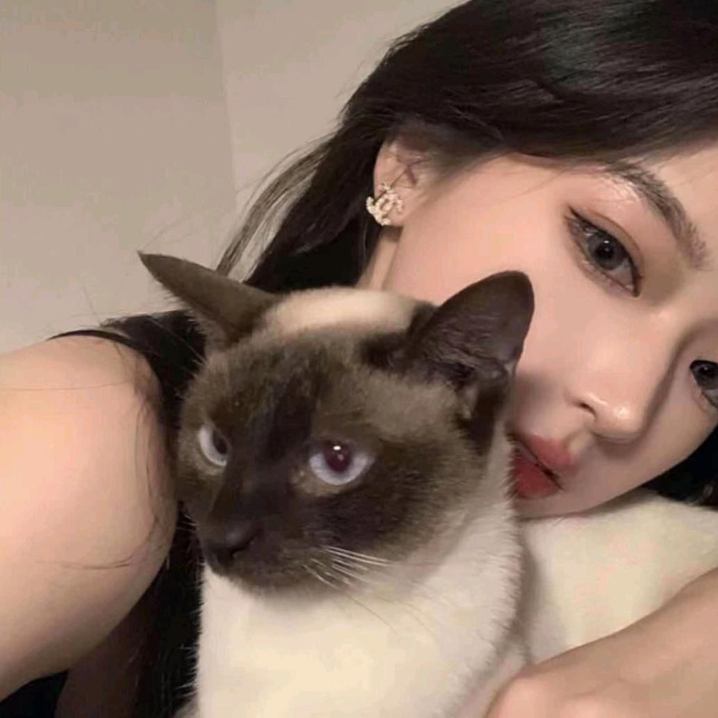 鱼糕尾巴