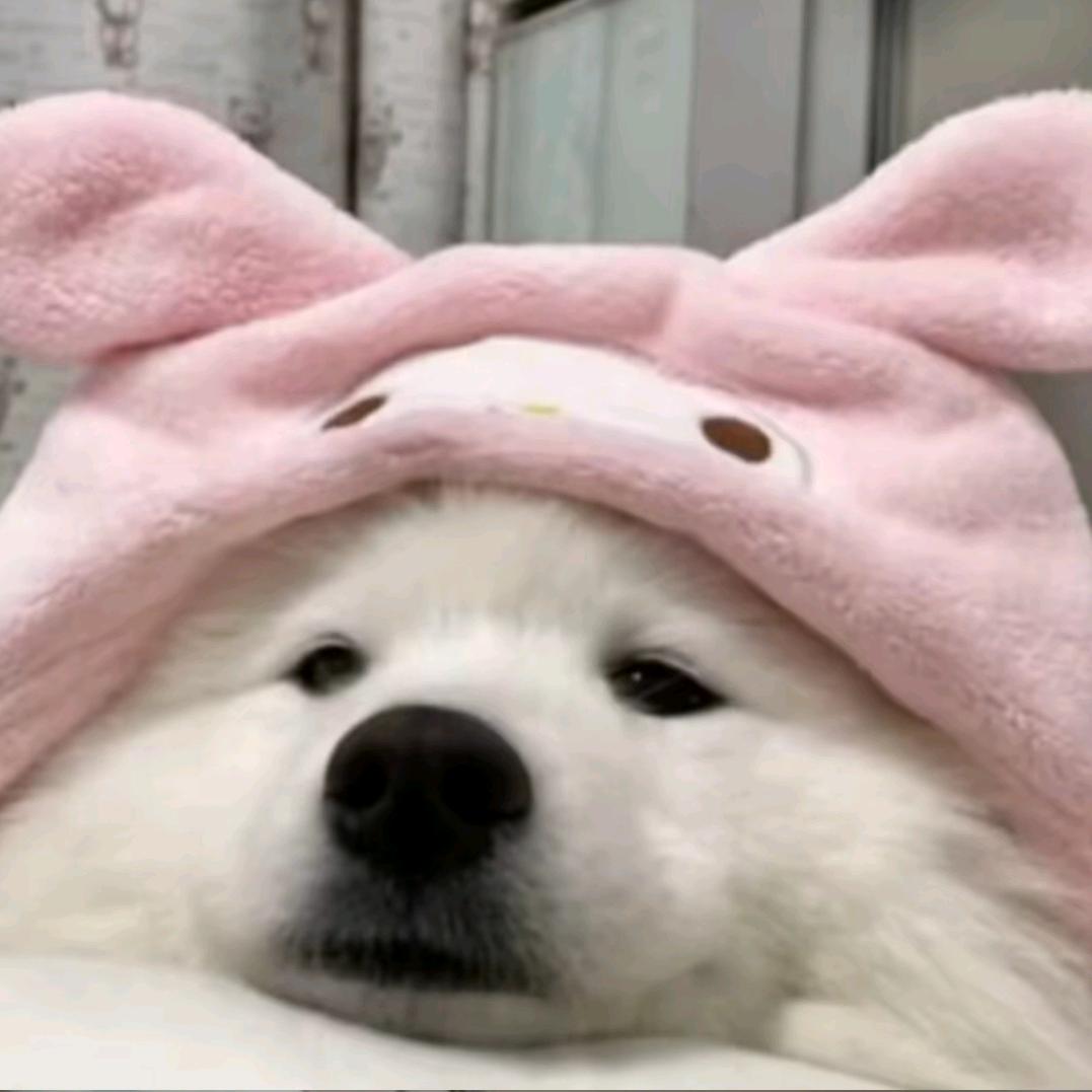 梦宁宁宁
