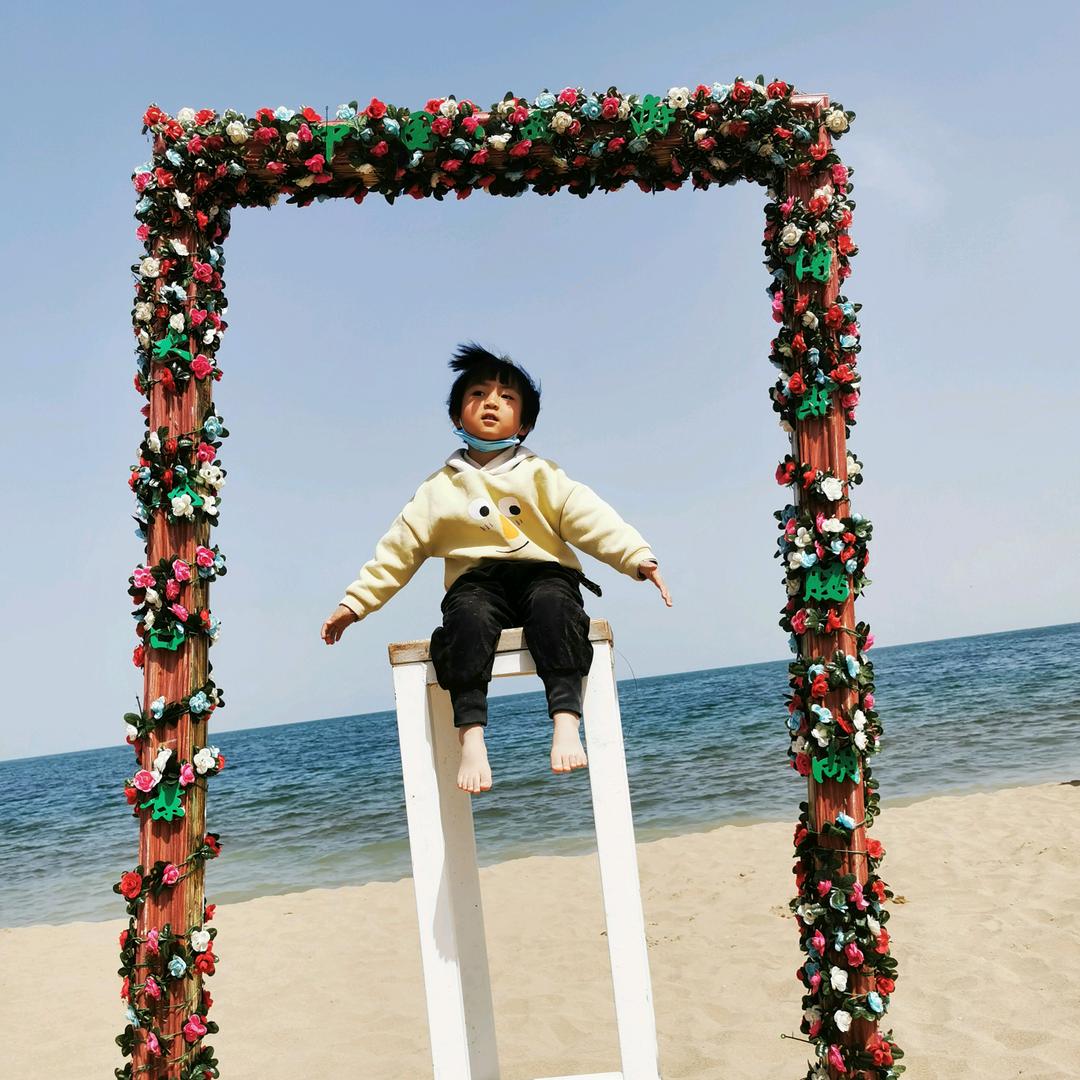 大鱼海棠