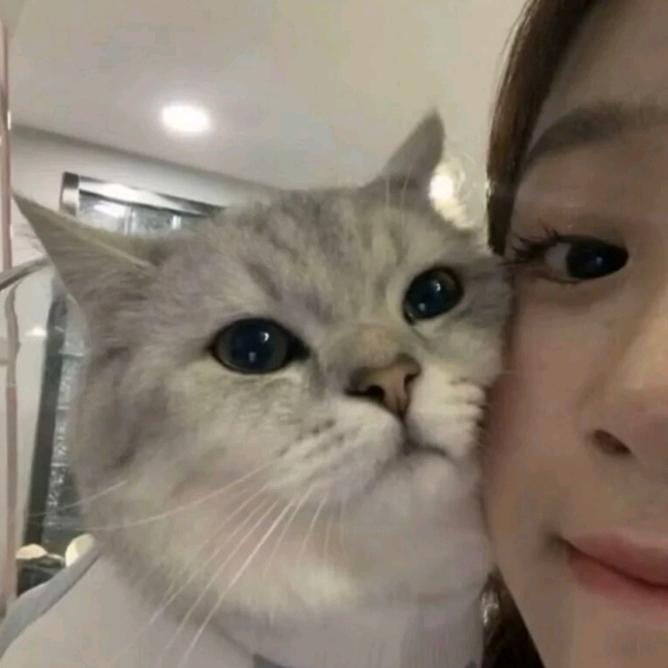 瞪什么邓.
