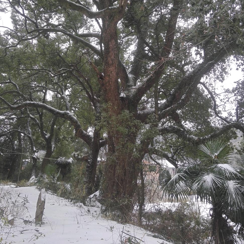 一念之间（贤明）