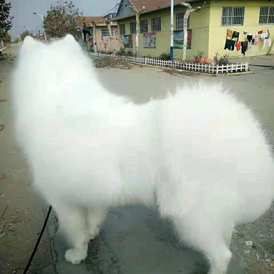 谁爱我