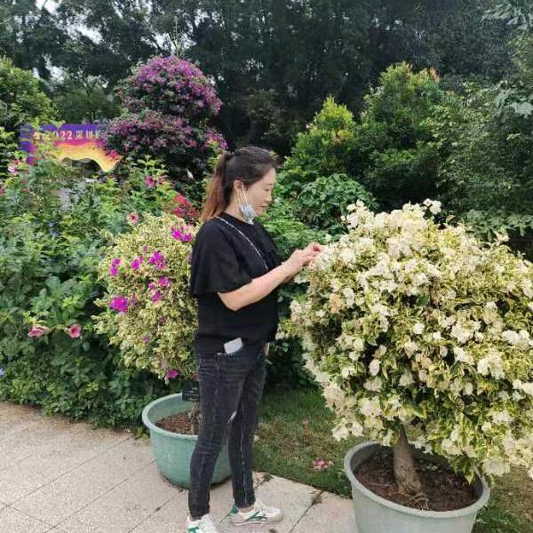 70后的蛇