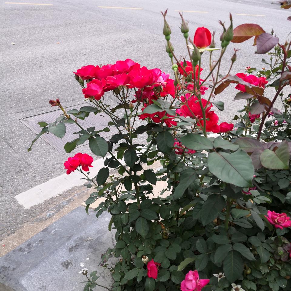 赶路人