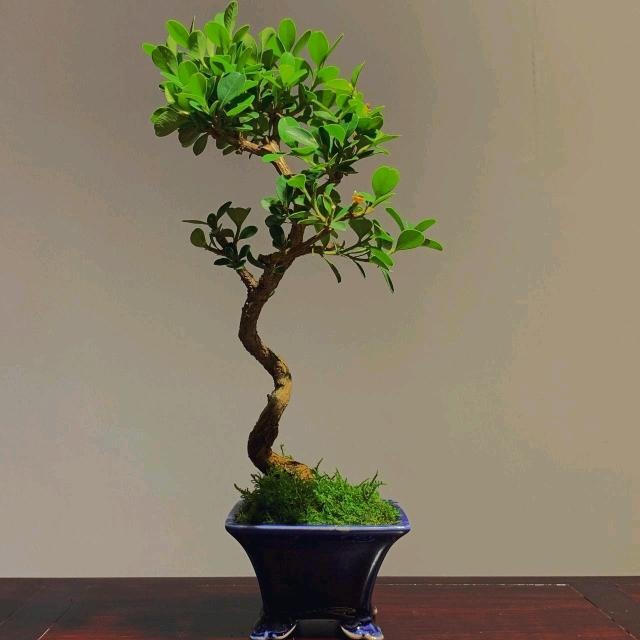 远通牧业 .反乡创业者！