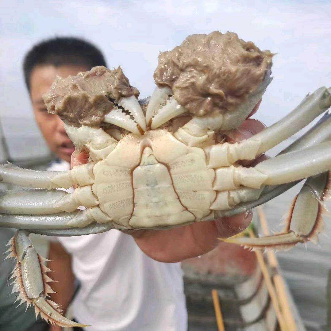 天宝水产