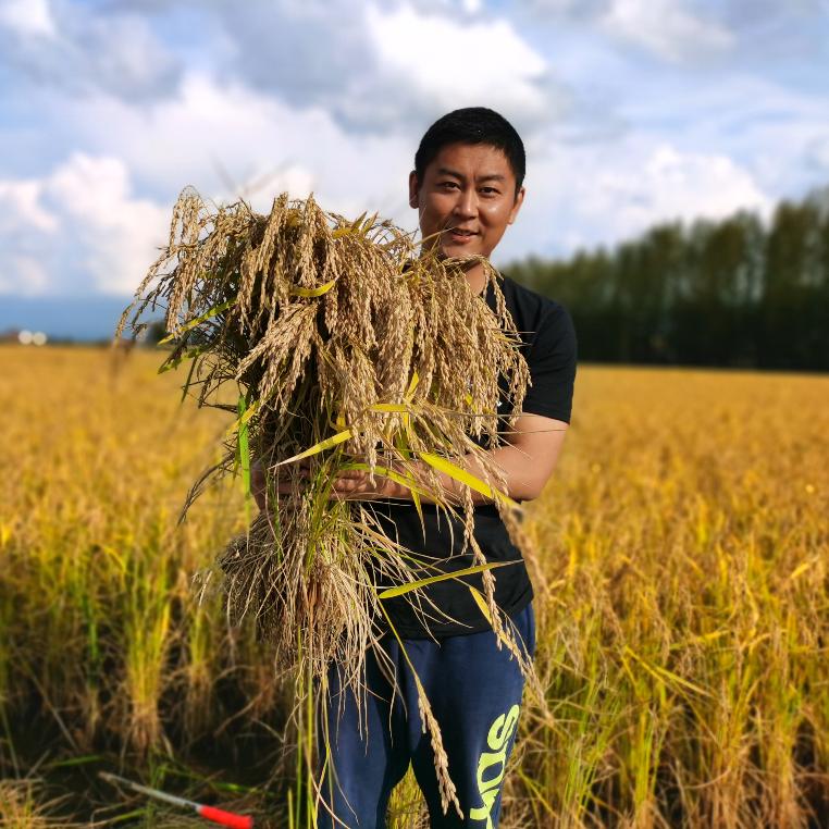 五常刘铁水稻种植合作社