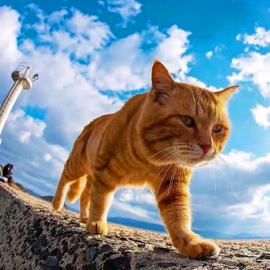 @꧔ꦿ᭄࿐ᩚ吥   惪′ᥫᩣ໌້ᮨ࿐ᩚ