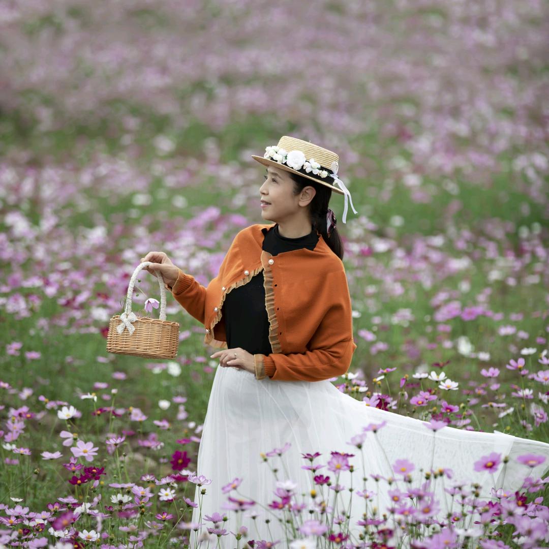 用户兰花草