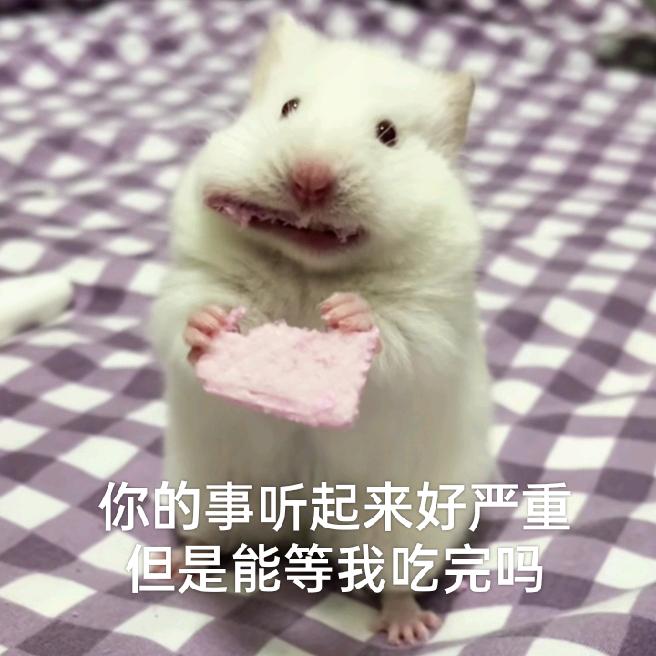眼镜逃跑（大学生版）