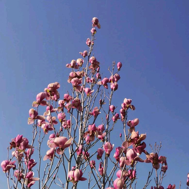 暖暖阳光