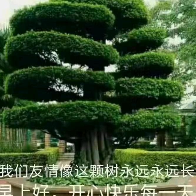 量大福大