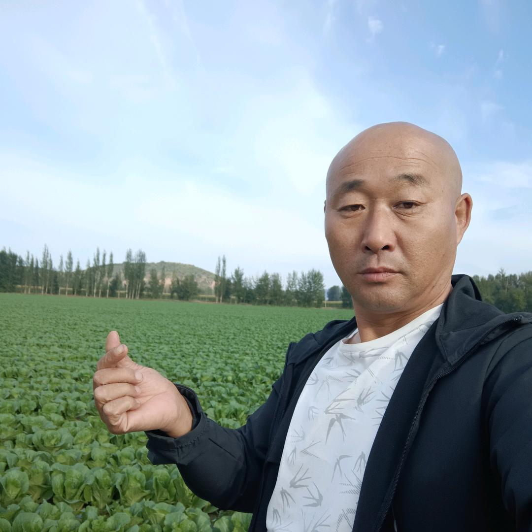种菜滴