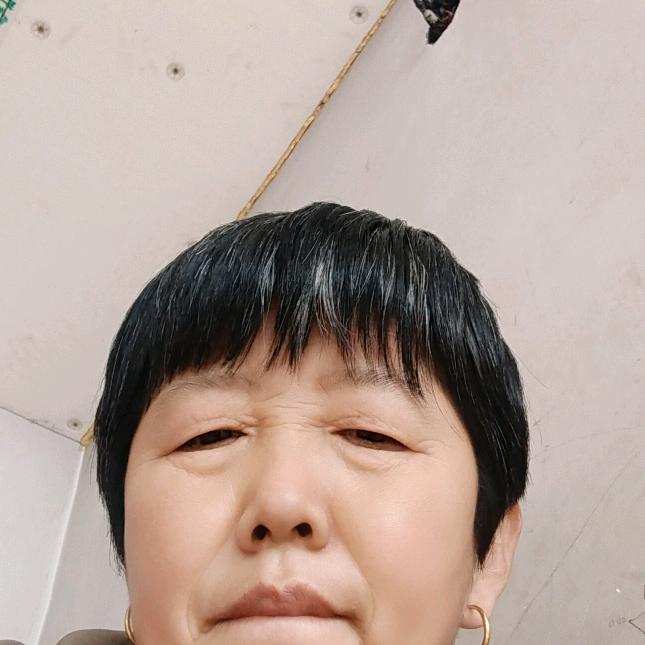 李红霞