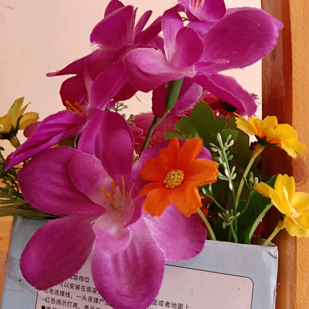 花开花落🙏🙋