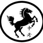 黑马中考数学（五维科学备考）