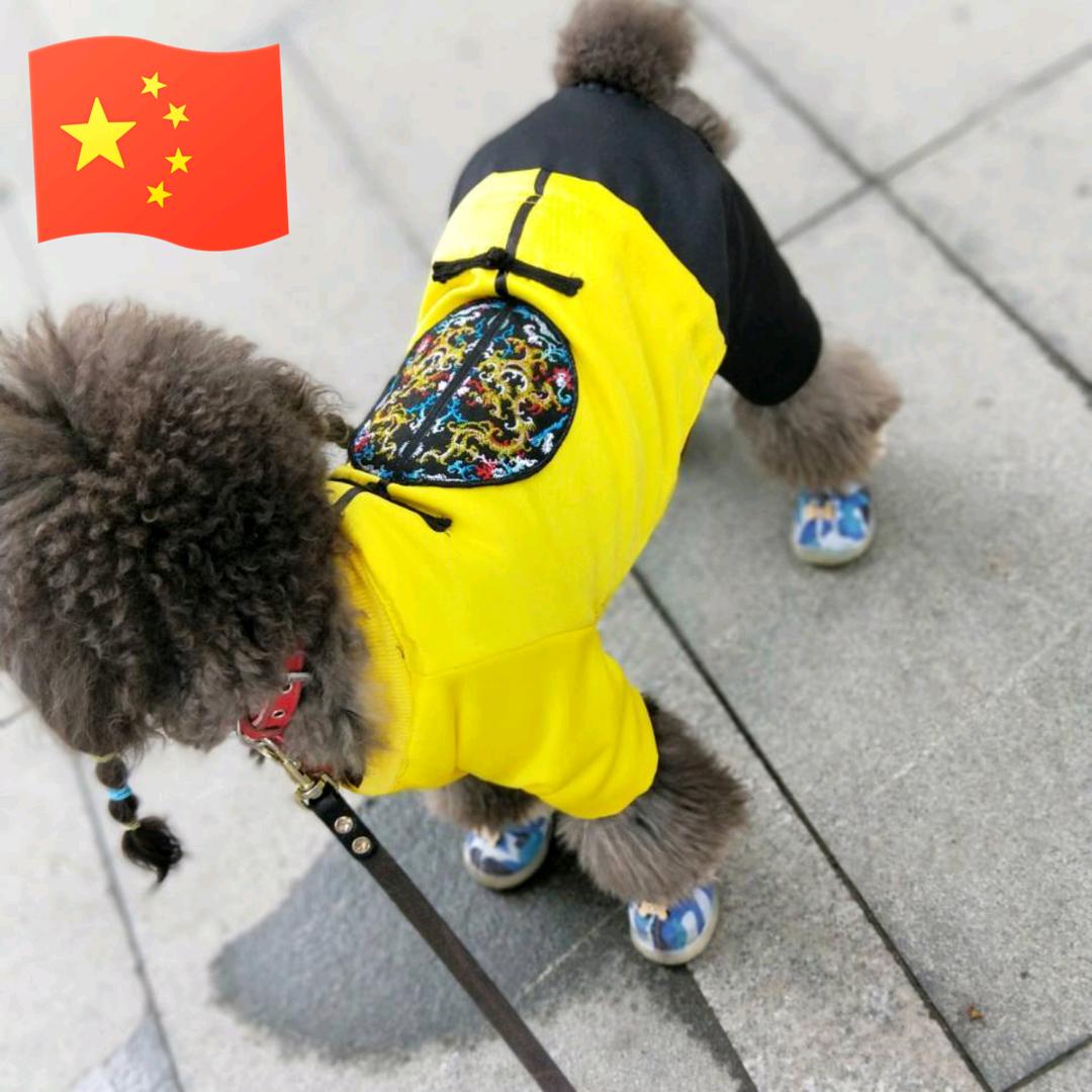 娟子萌宠