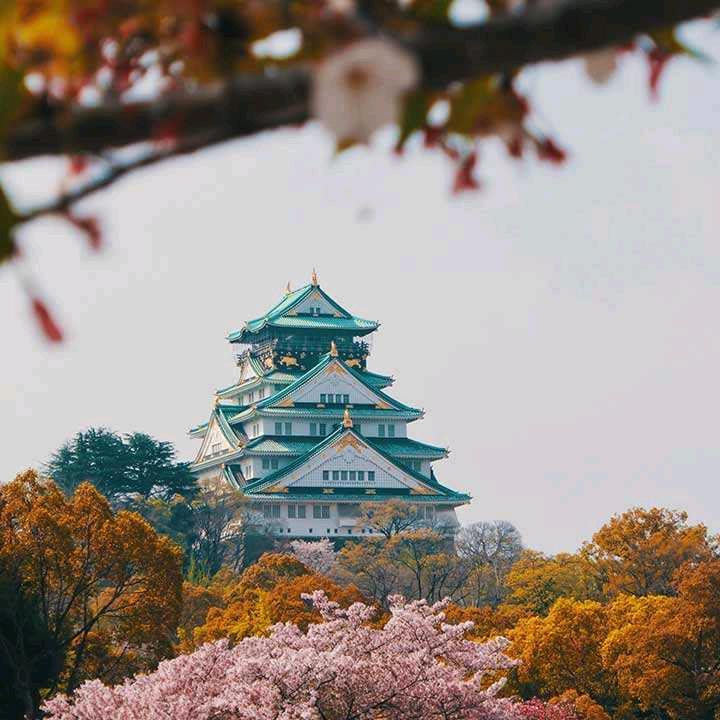 梦境