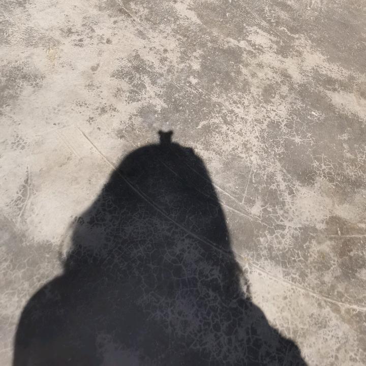 思夏