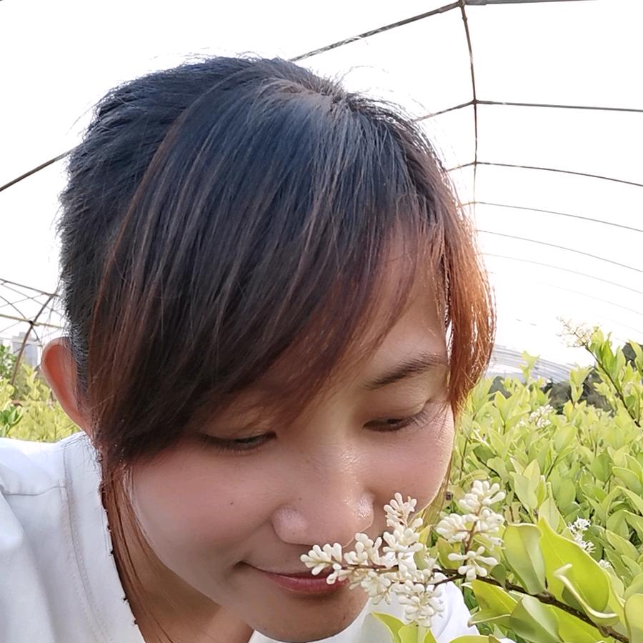 婷豪