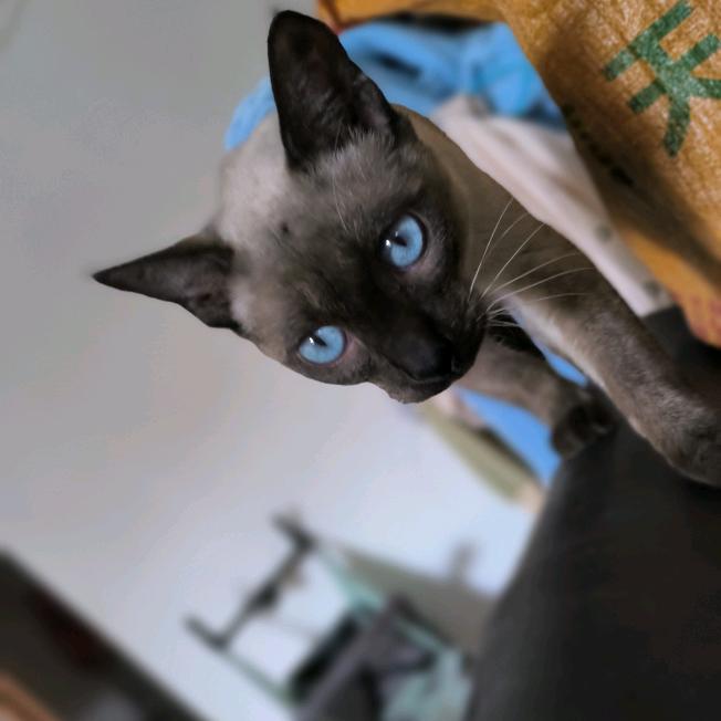 🌈🌈六月听风