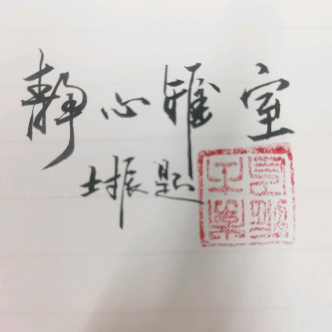 振哥说事