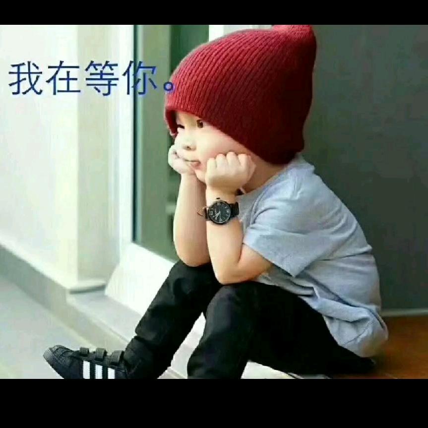 海豚弯恋人