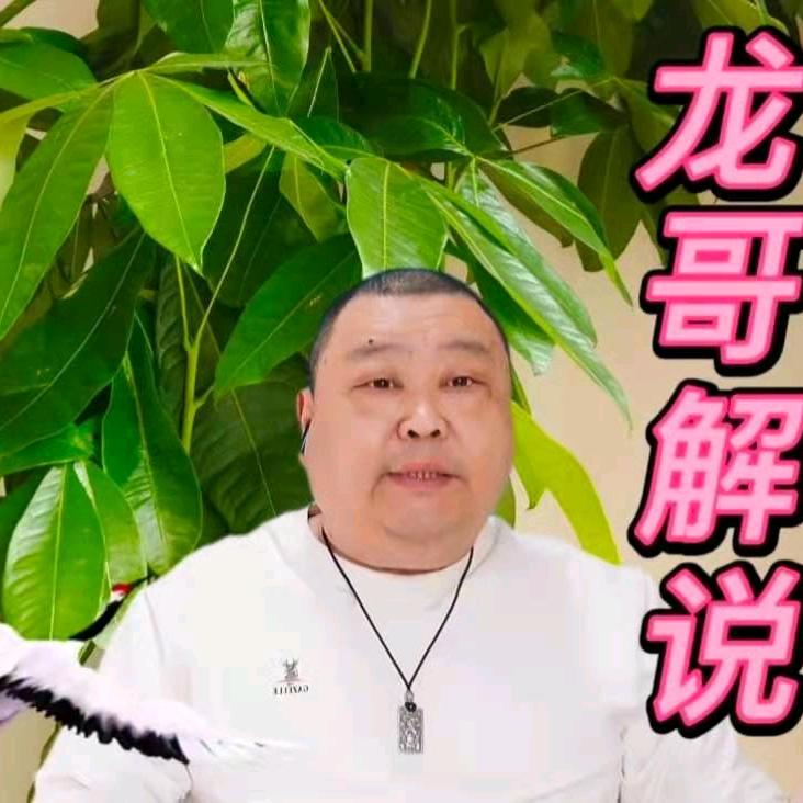 喜运达龙哥解说