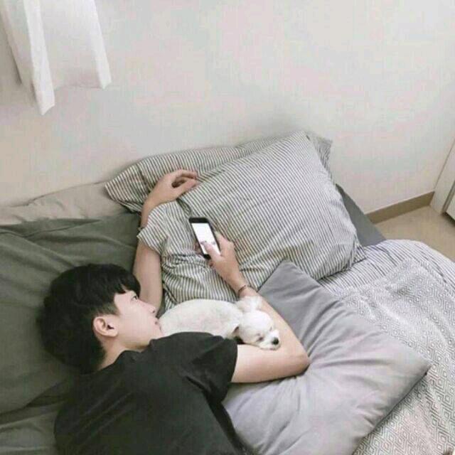 淘气的图图