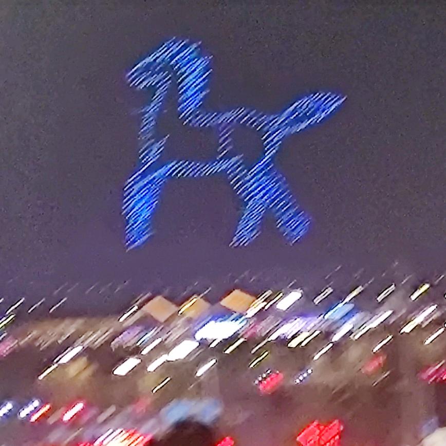 小芹在烟台