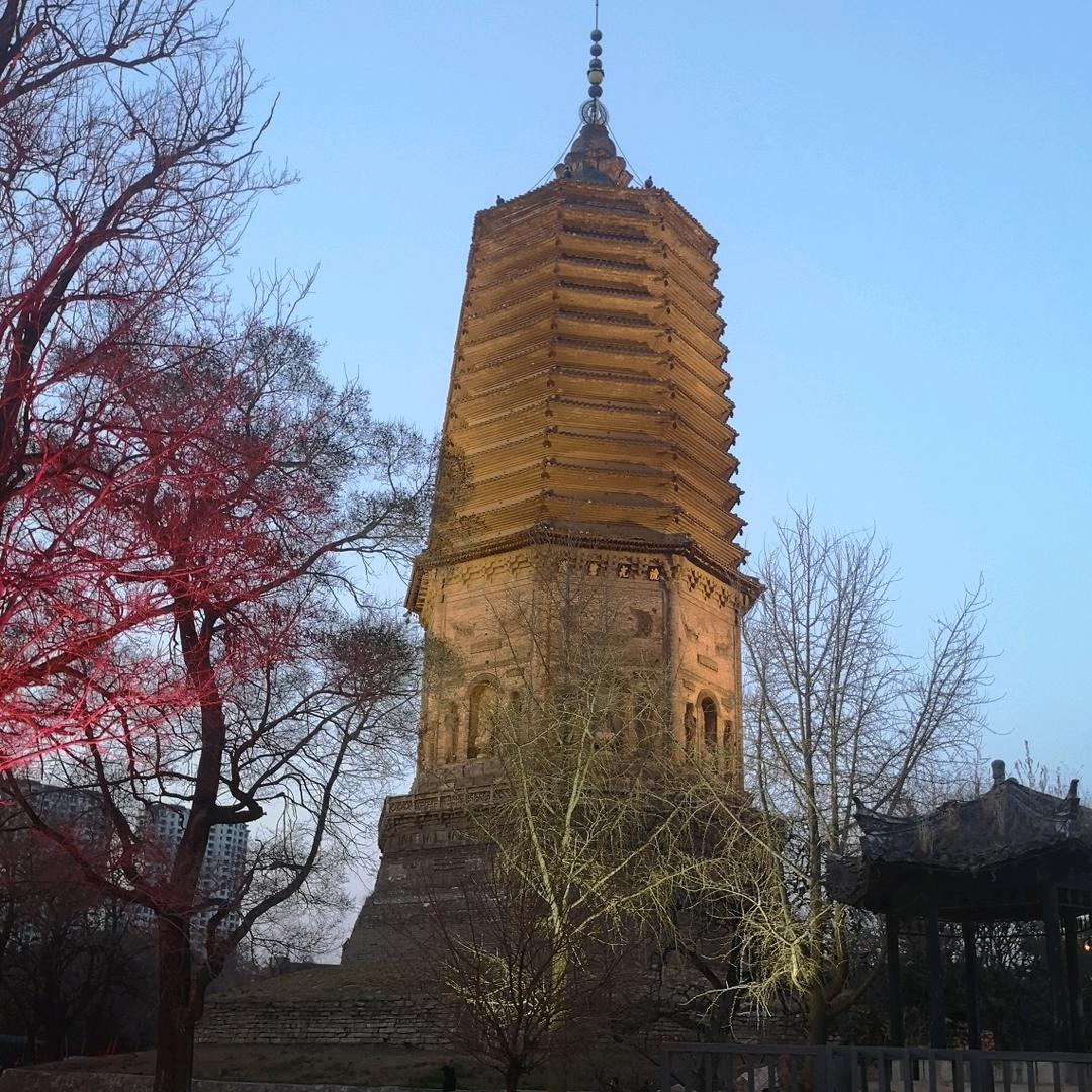 用神派批八字-杨姑姑