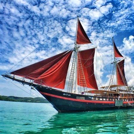 红帆船🌾仙湖🌾