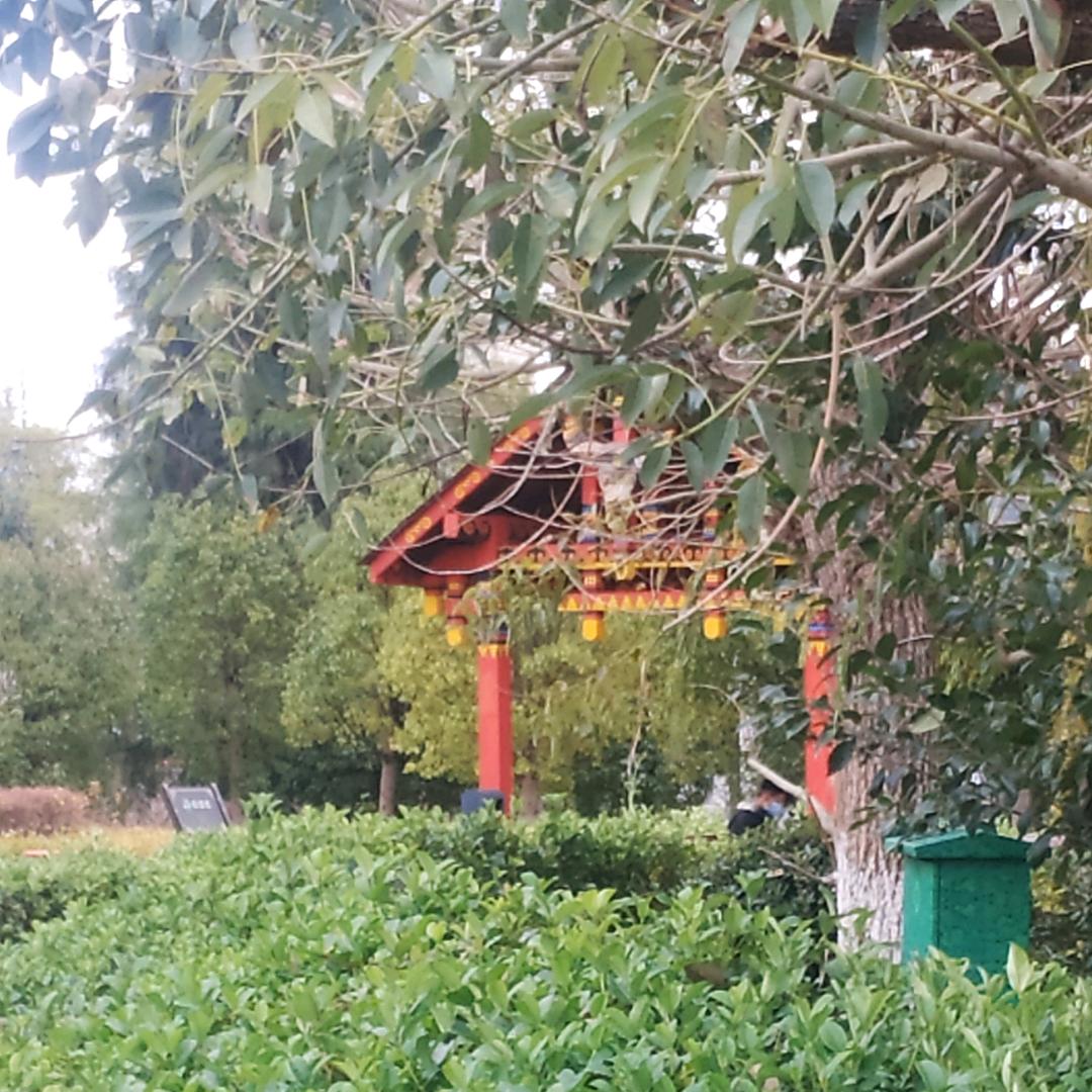 烟火时光
