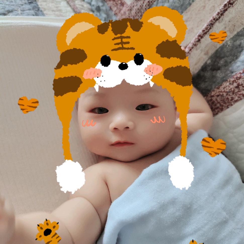 球球饲养员