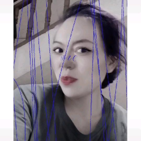 紫贝壳〈〈拒绝私聊〉〉