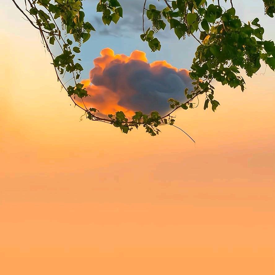 忽然想起理想这个词儿