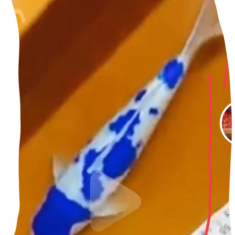 懂得取舍