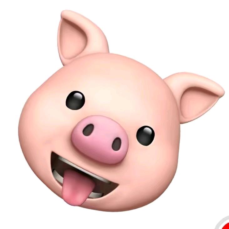 温水🐷 🐸