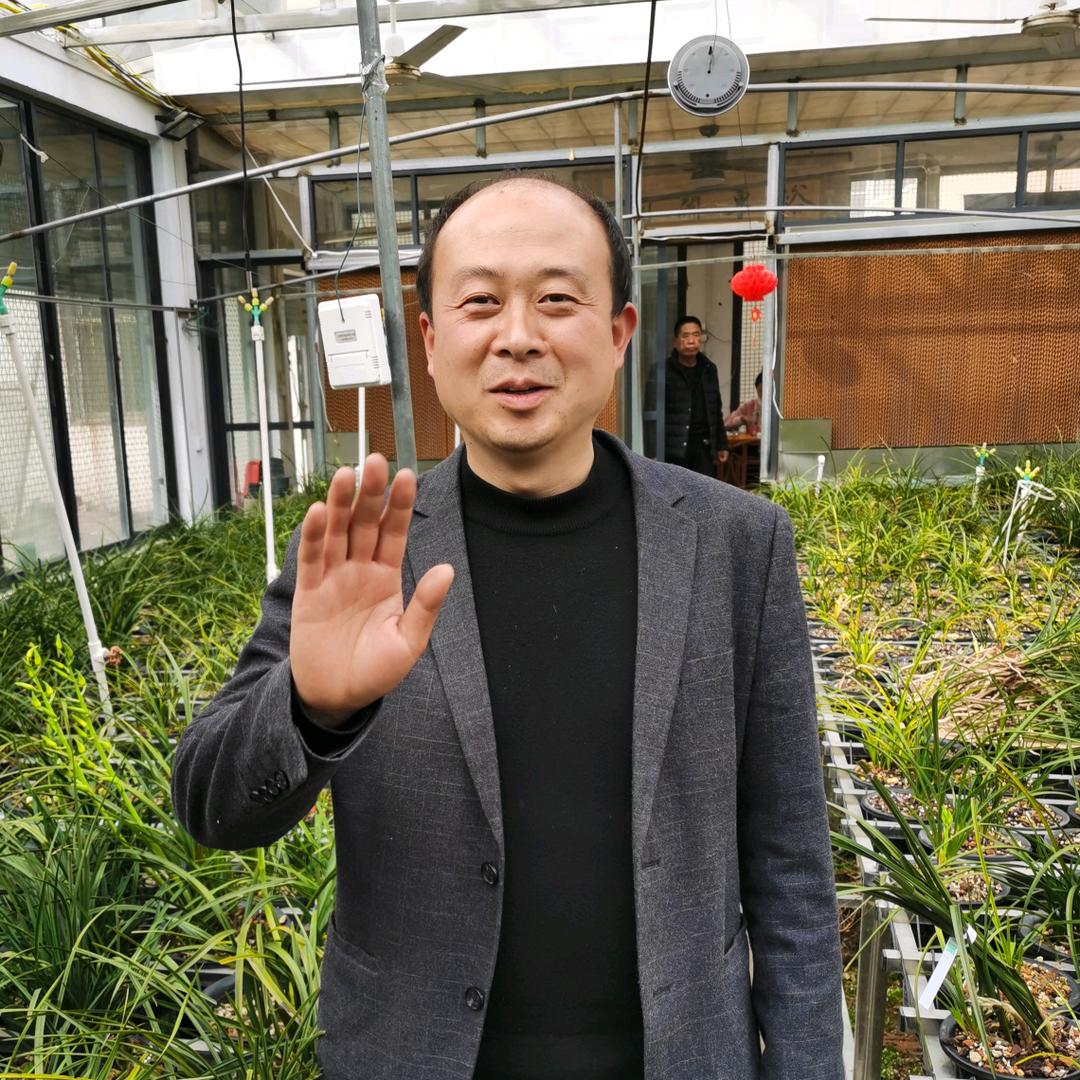 山长金兰