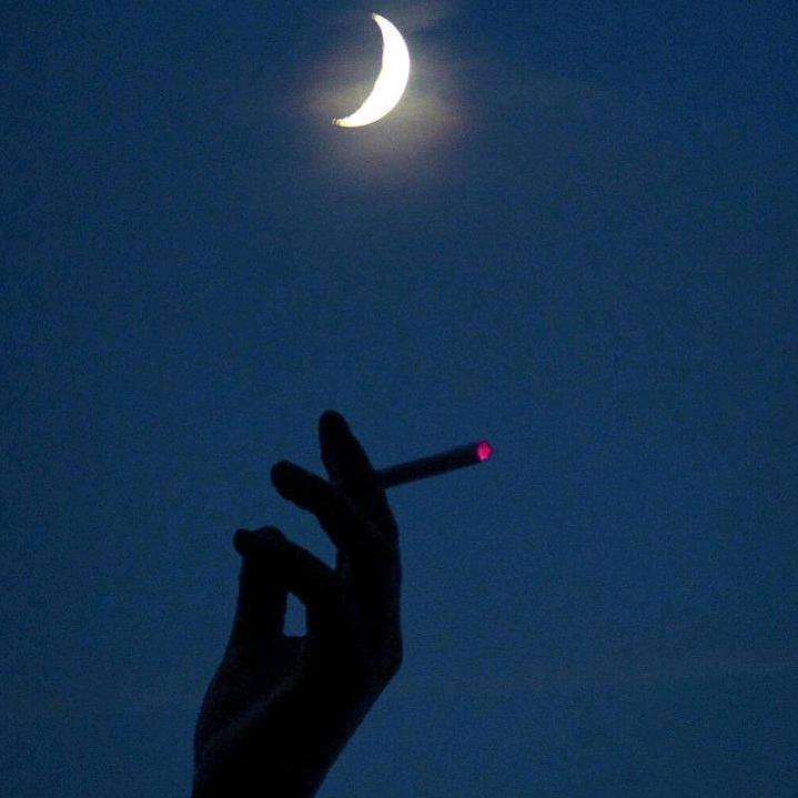 复古求芳心