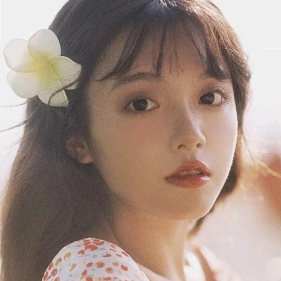 星黛露本🐰