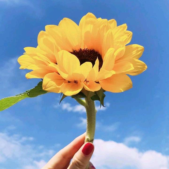 御小胖棒棒鸡(文源街店)专用号