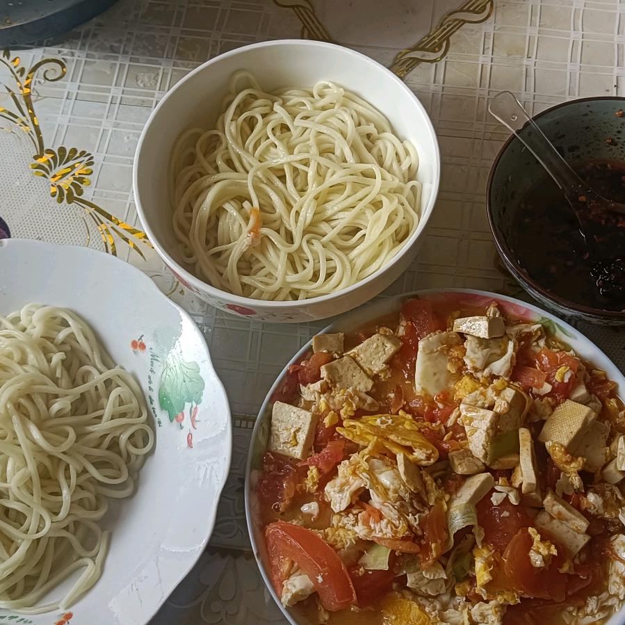 漫洼家乡的小白杨