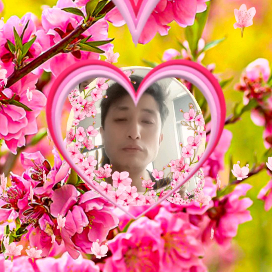 华仔兄弟