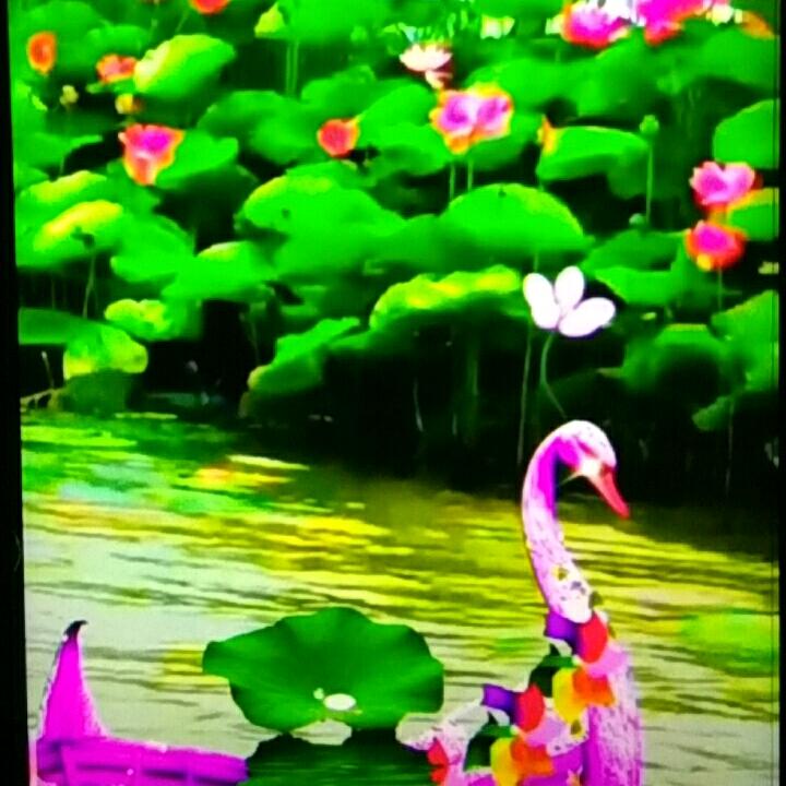 春夏秋冬    一年四季