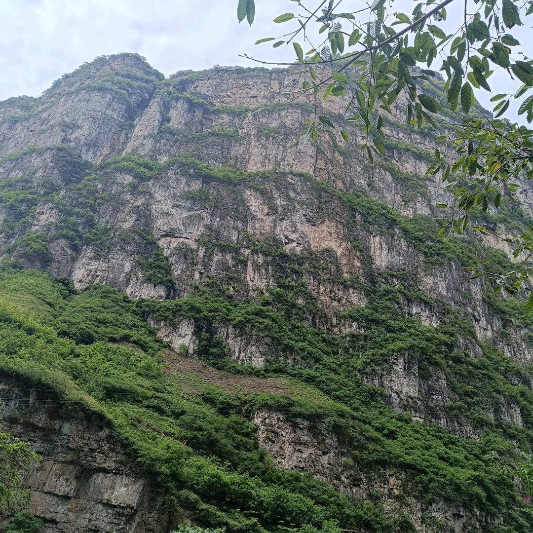尔麦
