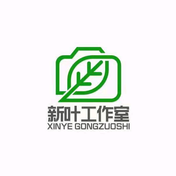 新叶工作室