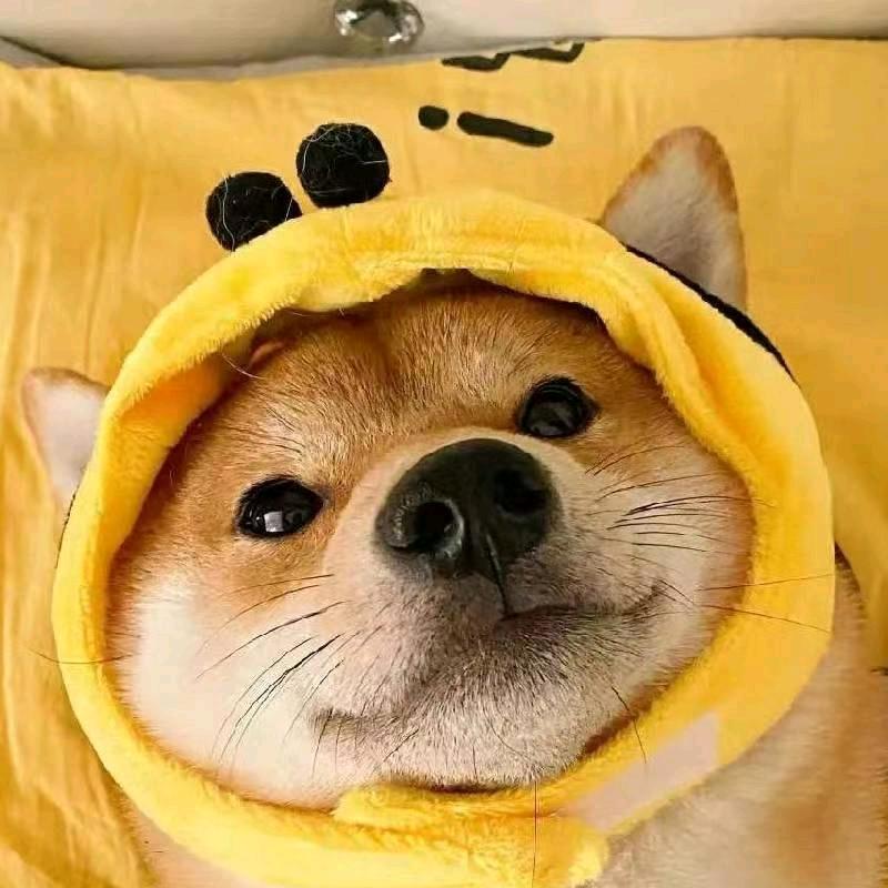 .̶♡̶眼̶里̶有̶星̶河̶