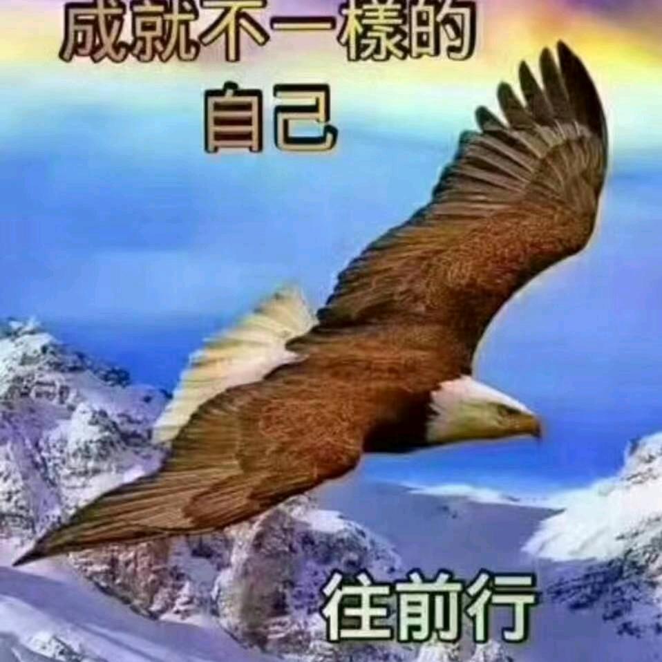 唐哥